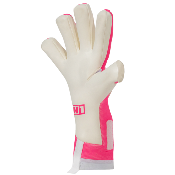 N1  SIRIUS PINK 2.0 (SIN FERULAS)