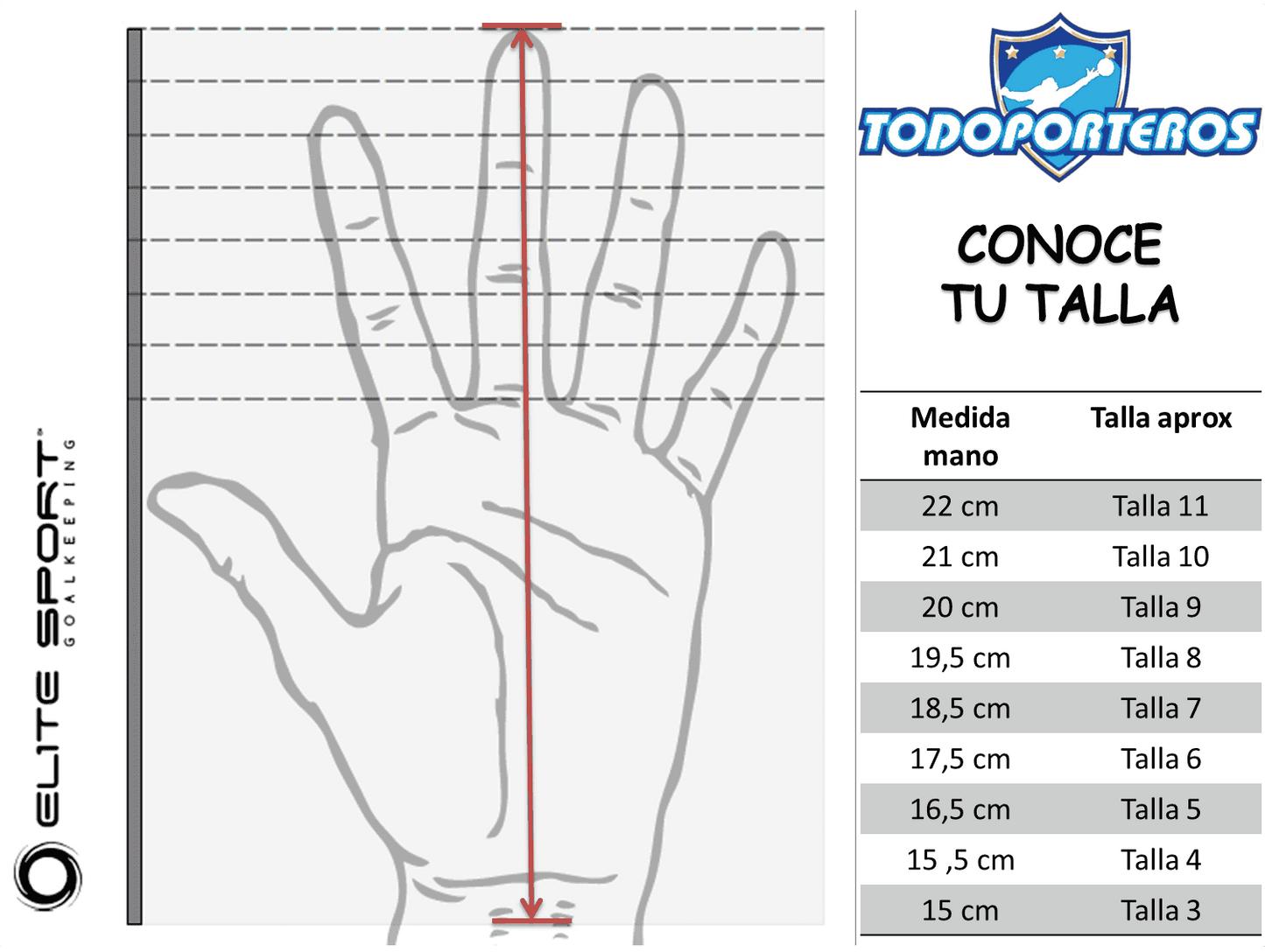 ELITE CALAVERA 2.0 (5 FERULAS EXTRAIBLES)