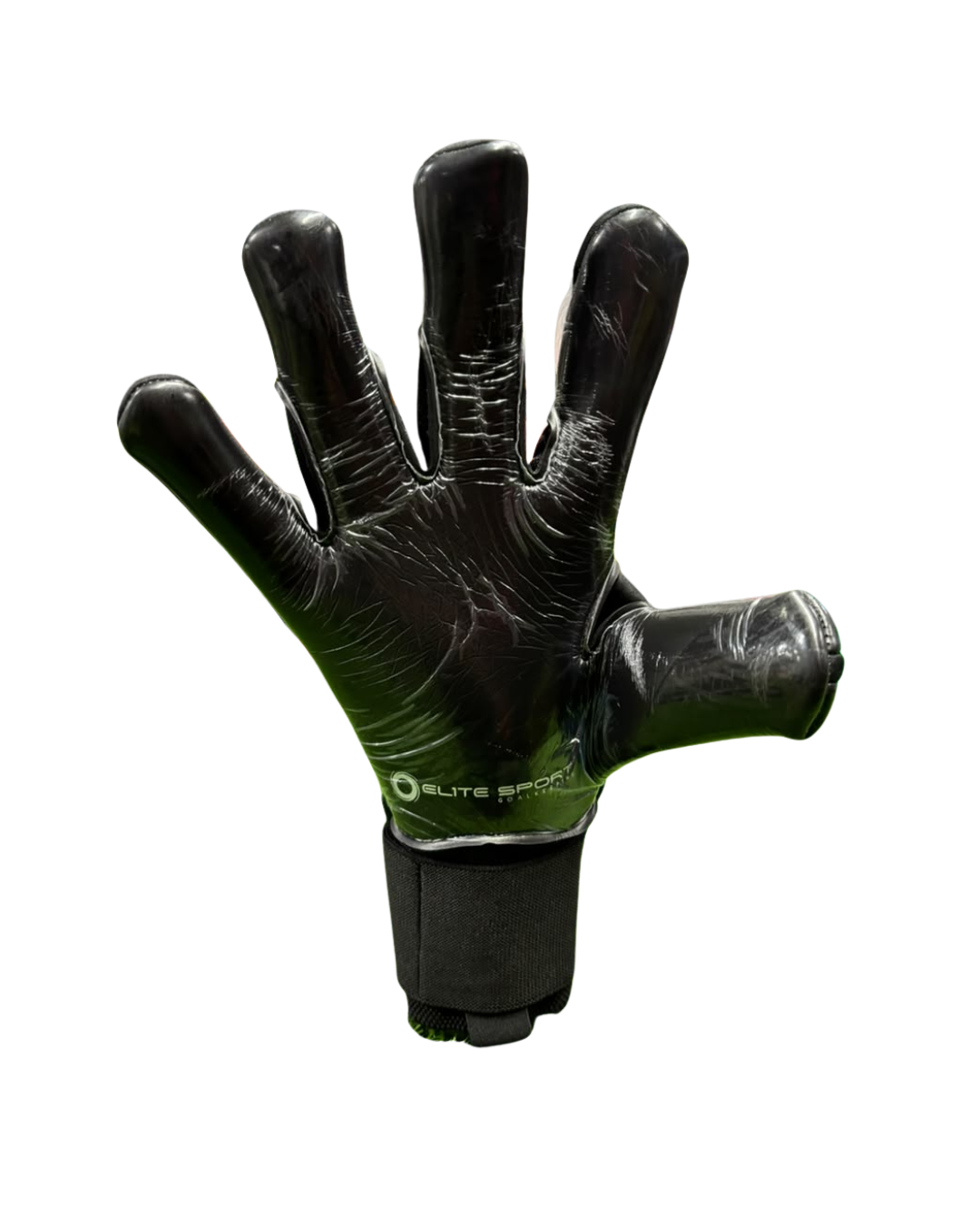 ELITE REVOLUTION X GP (SIN FERULAS)