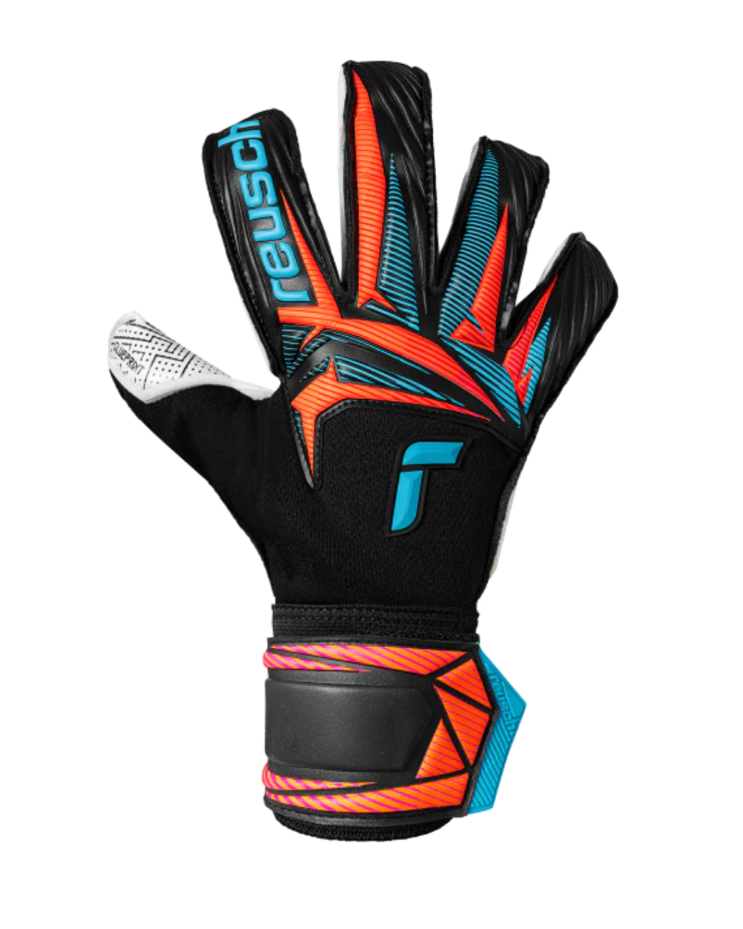 REUSCH ATTRAKT ADVANCE EVOLUTION GLUEPRINT (SIN FERULAS)