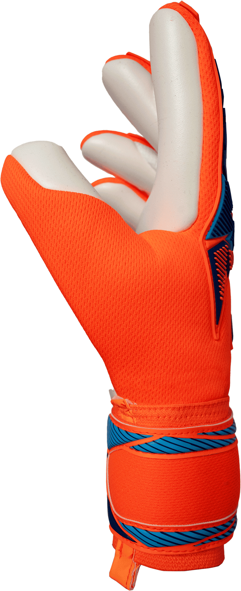 Guante Reusch Attrakt Freegel Advance Mundial
