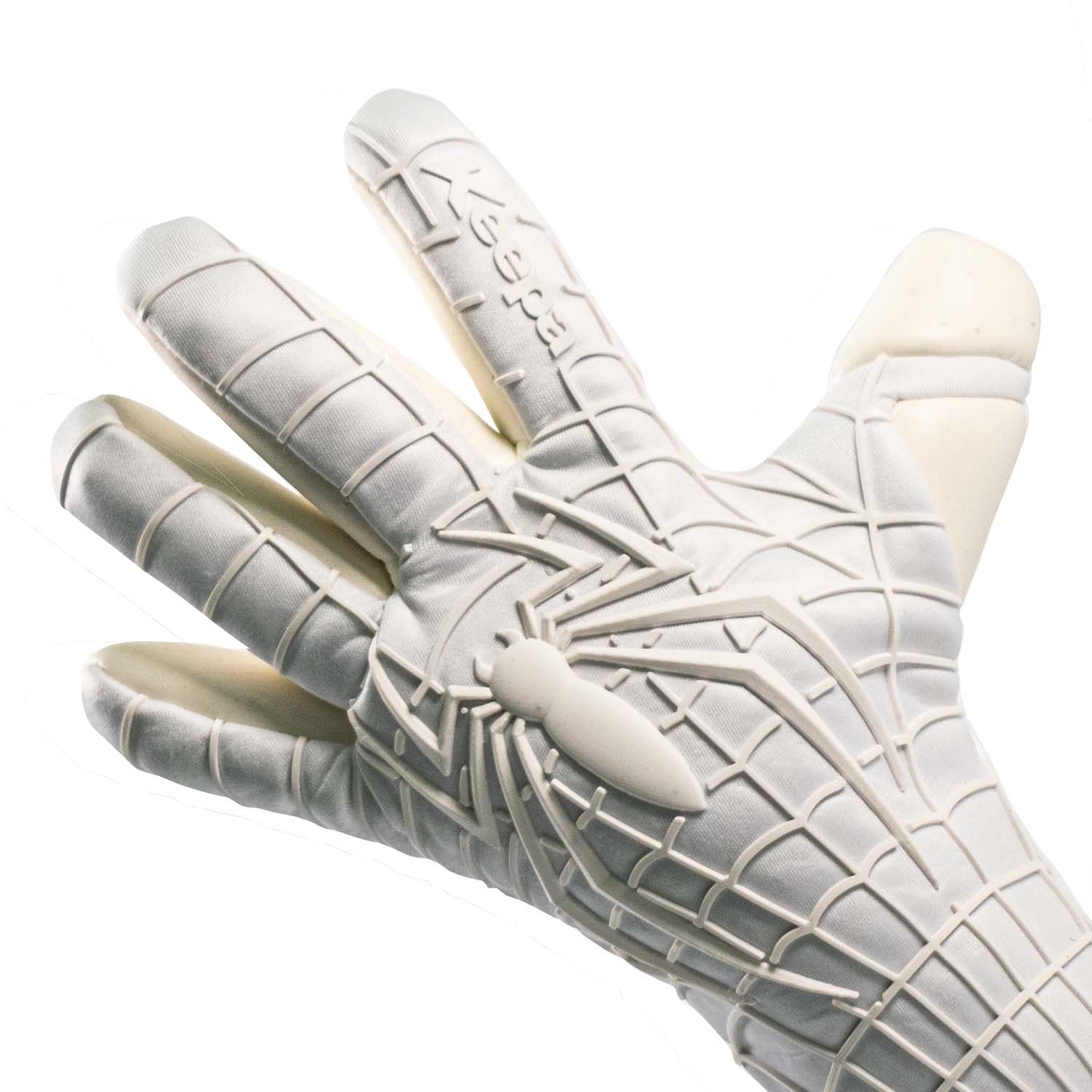 Keepa Araknia Blanco