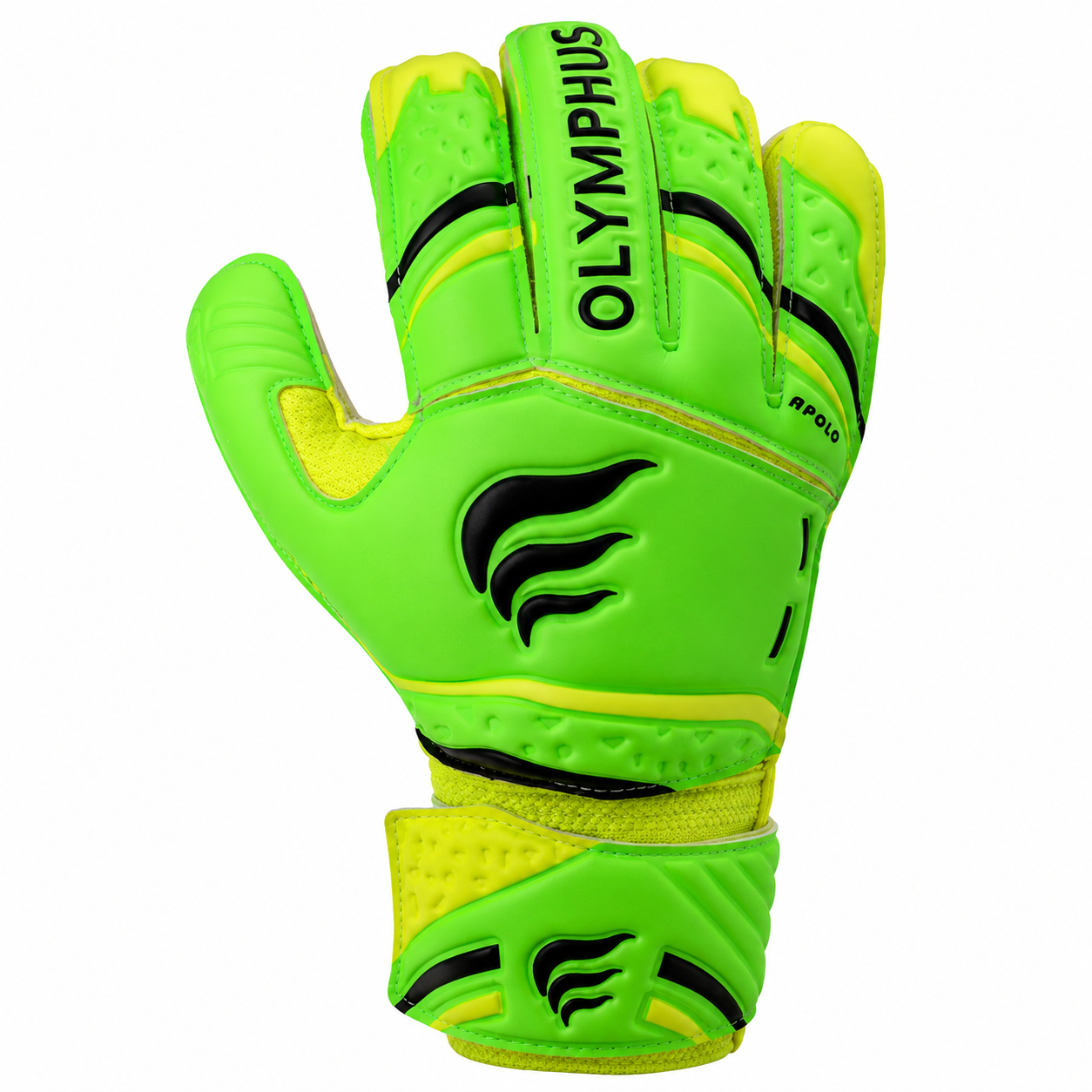 OLYMPHUS APOLO VERDE FLUOR (5 FERULAS EXTRAIBLES)
