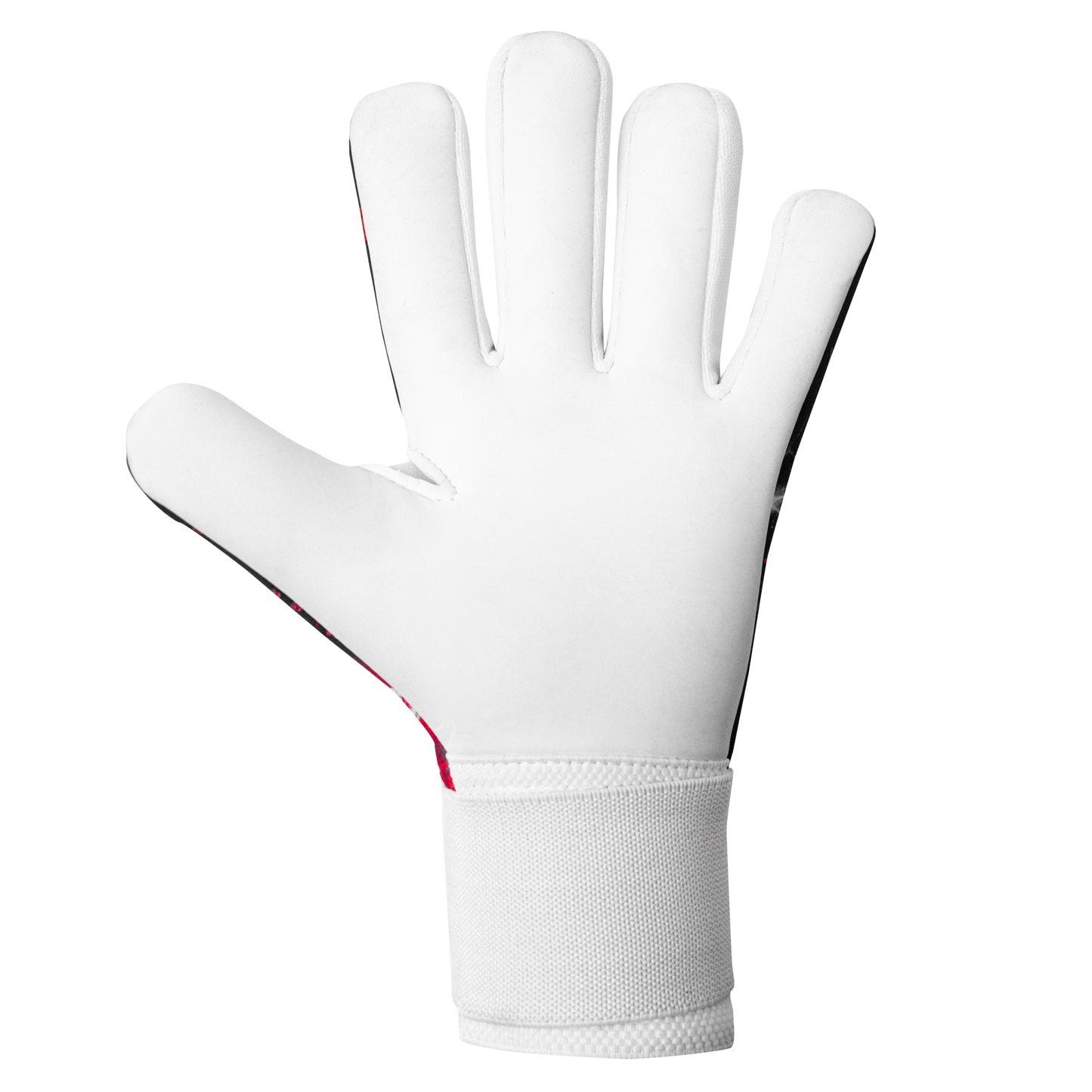 ELITE SPORT STORM