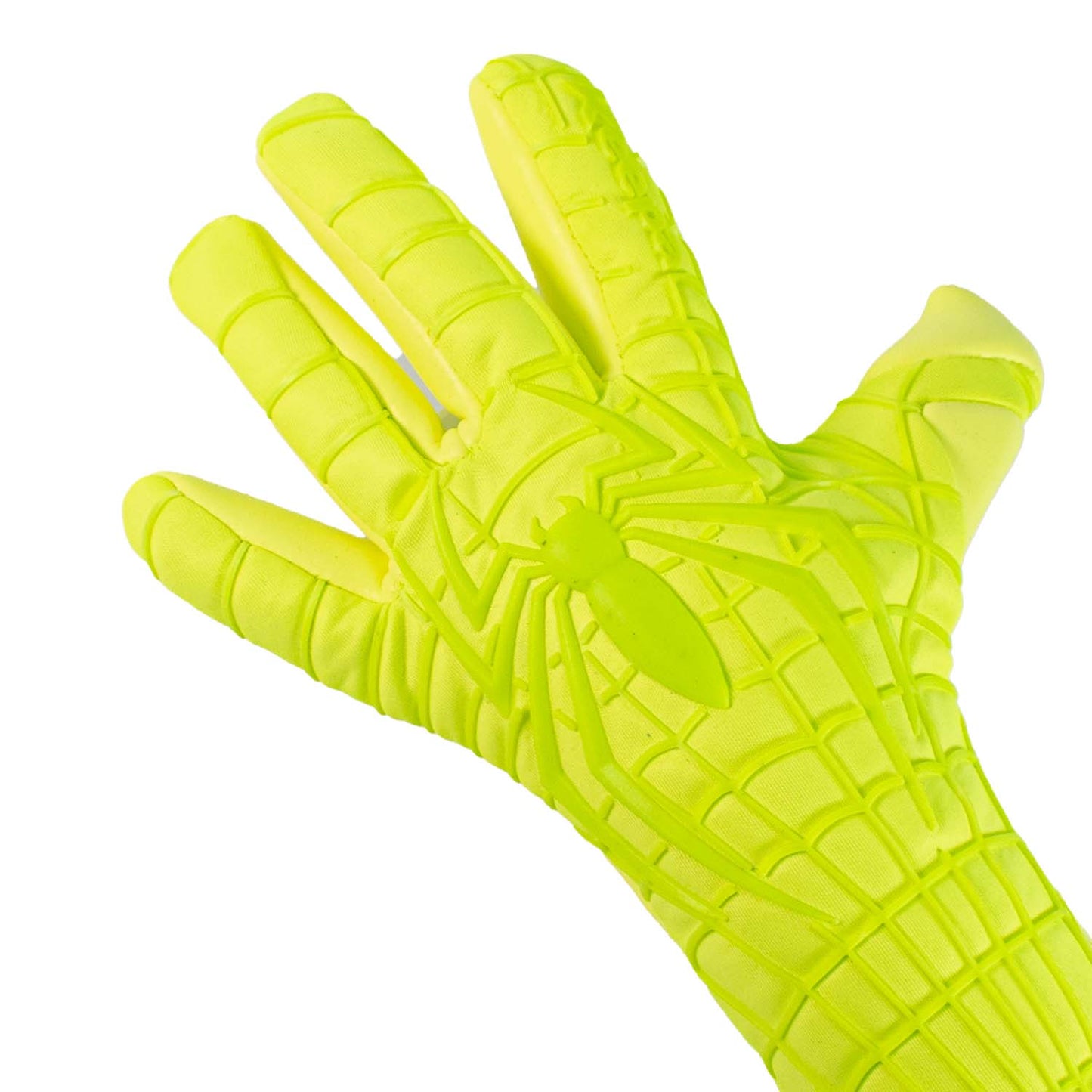 Keepa Araknia Amarillo Fluoresente